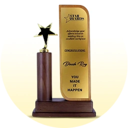 Star performer trophies
